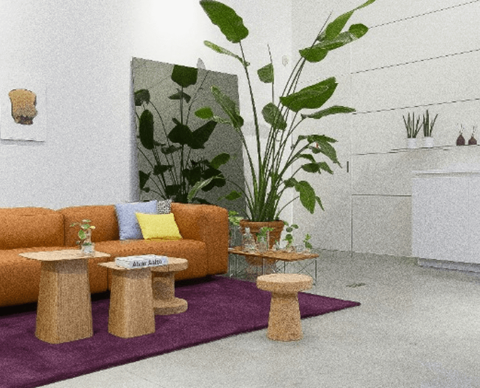 Bitcoin (BTC) Withdrawal